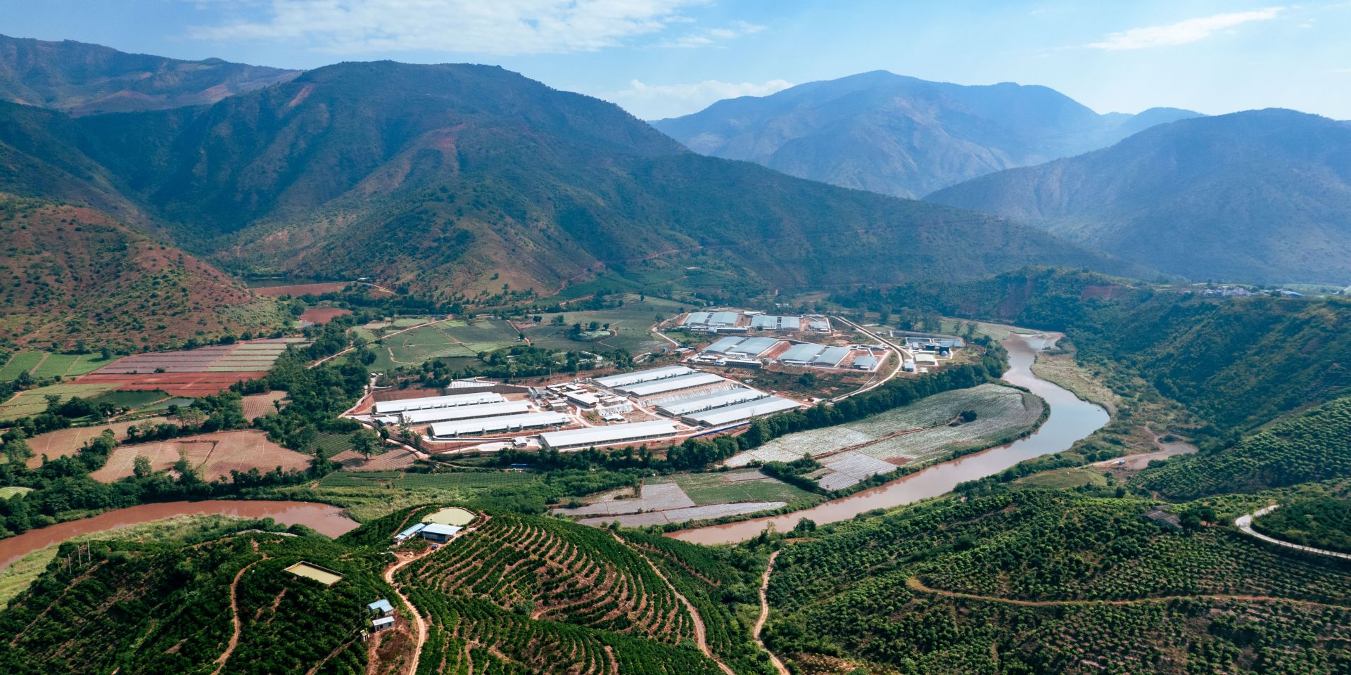 Xinping Dekon Mosha Pig Breeding Farm