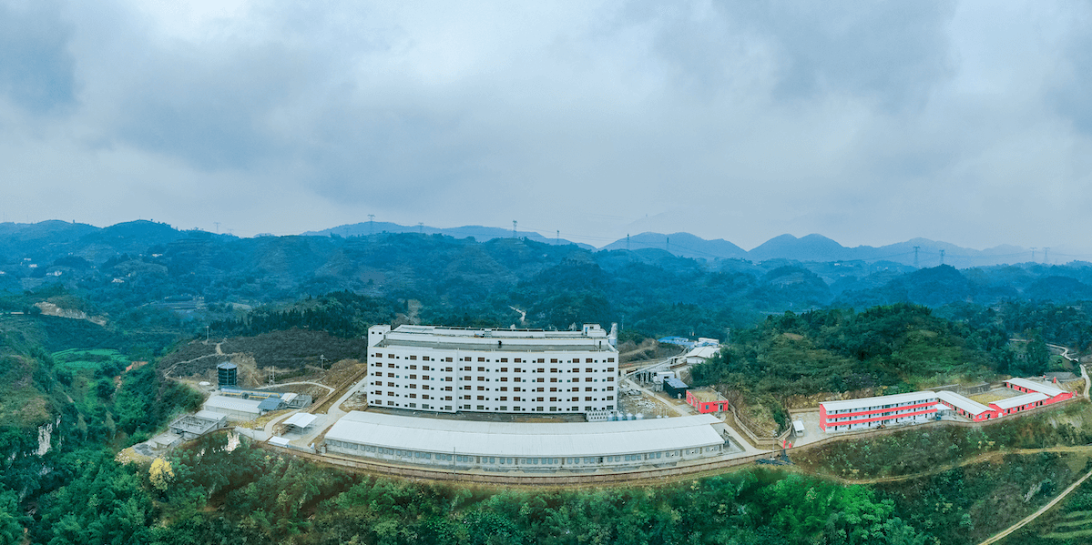 Gaoxian Dekon g Qingling Pig Breeding Farm